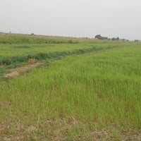 طريق سيد احمد • ٢٧دونم • بيت كامل