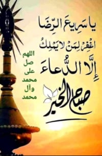 ابحث عن عمل سايق كيه او كنتر  و كيه بوكس حمل شاحنه  سائق لدي خبره أكثر...