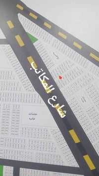الطوبة والنخيلة • ٢٥٠م • واجهة ١٢ ونص