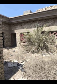 الالبان • ٢٥٠م • ورثة قاصر