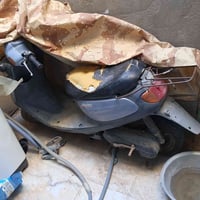 منغولي 2003 • باسمي • كربلاء الحر