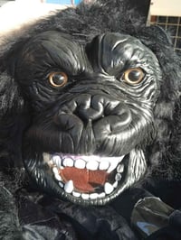 تلبيسه كامله غورله 07704363783