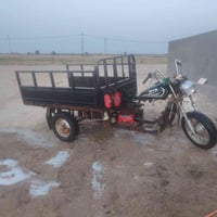 ستوته  رقم او سنويه شرط مداور شاصيهه كفاله بي بكد الصبع بل ركبه او ملح...