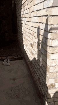 السلام عليكم بيت مساحه 100 للبيع سعر 37 وبي مجال يحتوي غرفه ومطبخ وصاله واستقبال العنوان بابل حمزه الغربي موقع مدينه مهدي عاقول وهذا رقم الهاتف ***********
