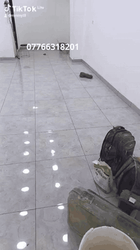 خلفه سراميك مصري درجه اولا اشتغل ارضيه جدران *********** اتوجد ف الشرطه الخامسه شهدا البياع
