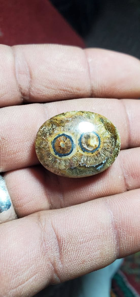 السلام عليكم  احجار داوودي نوادر يوجد جملة ومفرد


**إذا كنت صاحب هذا الإعلان وتريد حذفه لأي سبب، رجاءا أرسل رسالة إلى الدعم الفني**