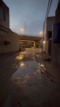 بليبيج • ١٠٠م • مفروش