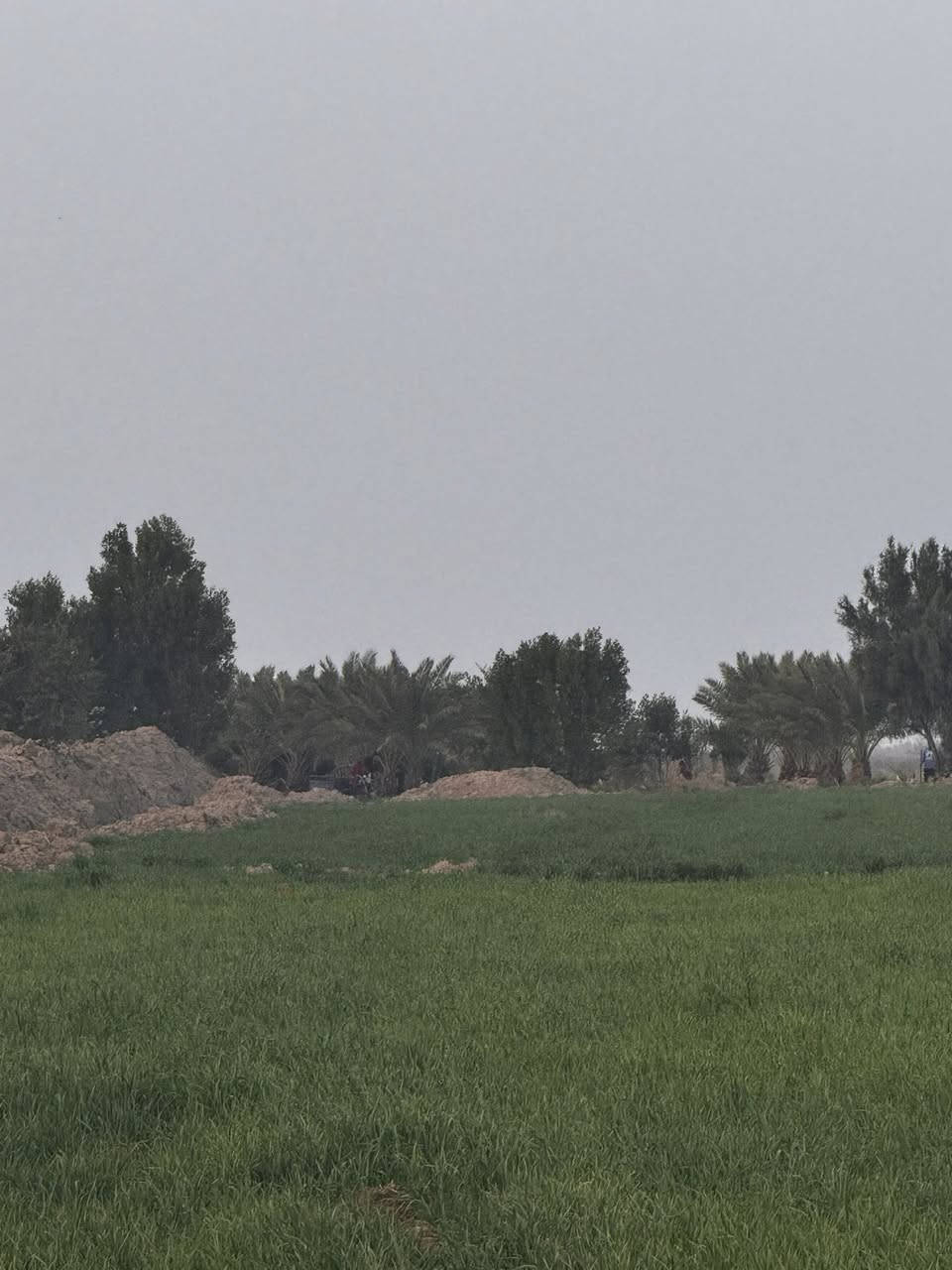 سلام عليكم
أرض زراعية عقد 35البيع 75دونم    واسط قضاء الموفقية معدله اليزر  كلها  تزرع  كلها بيه بيوت 🏠  4بية بستان  180 نخلة 🌴 بيه محولة كهرباء بوحدك بية بوري ماي ساله نهرك بوحدك شارع بوحدك مدرسة 🏫 بتدئية 400 متر رقم الهاتف ***********
