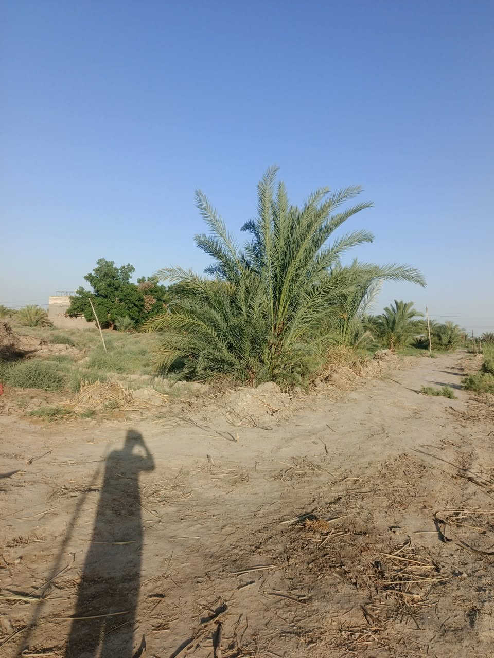 يالله سلام عليكم  دونم للبيع على طريق لحلو مساحته دونم  لواجه 20 ونزال 125 مثل ما واضح بل فديوو سعرا اتصال على الارقام او مراسلة صفحه  
*********** ////***********
