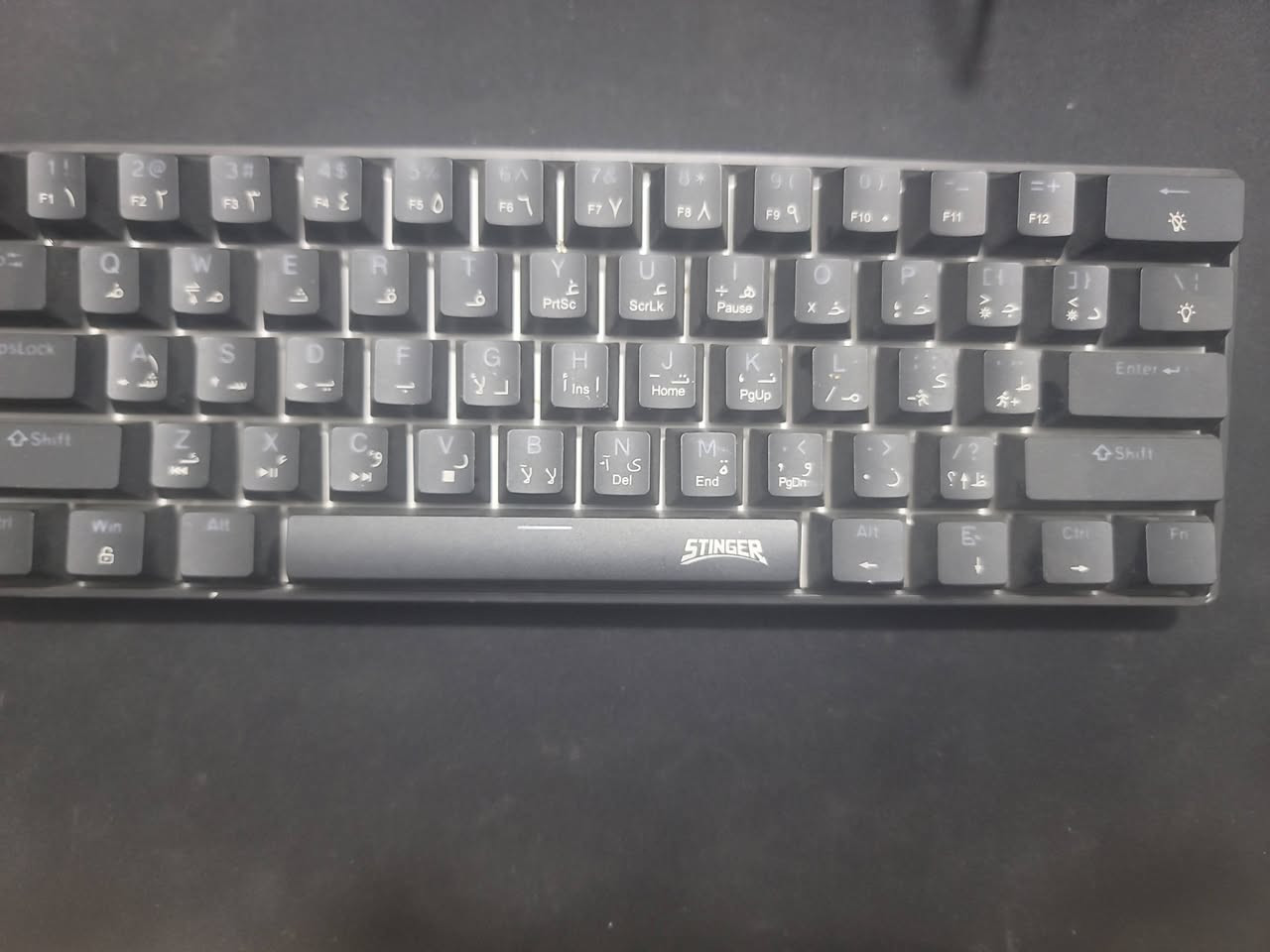 السلام عليكم عندي هذول الغراض للبيع
سبيكرات: havit 
كيبورد : stinger warlock sk-3000
ماوس: redragon m 616-rgb 
ماوس : glorious model-o
سماعه : fantech

الي يريد قطعه خليه يراسلني ويتدلل 

مكاني بغداد الدوره حي المعلمين 
7748406454 بيه واتس بي
