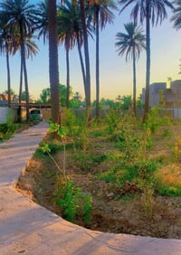 مزرعه مساحة دونم الواجهة ٣١متر والنزال ٨٢متر تحتوي على بيت وحديقه وبست...