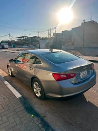 ماليبو • ٢٠٢٤ • غرق شغاله