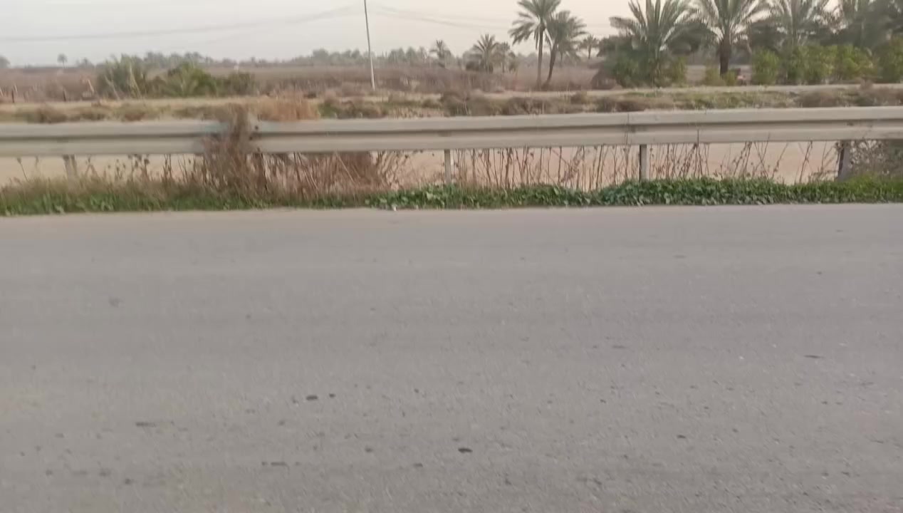 تصل على الرقم ***********
