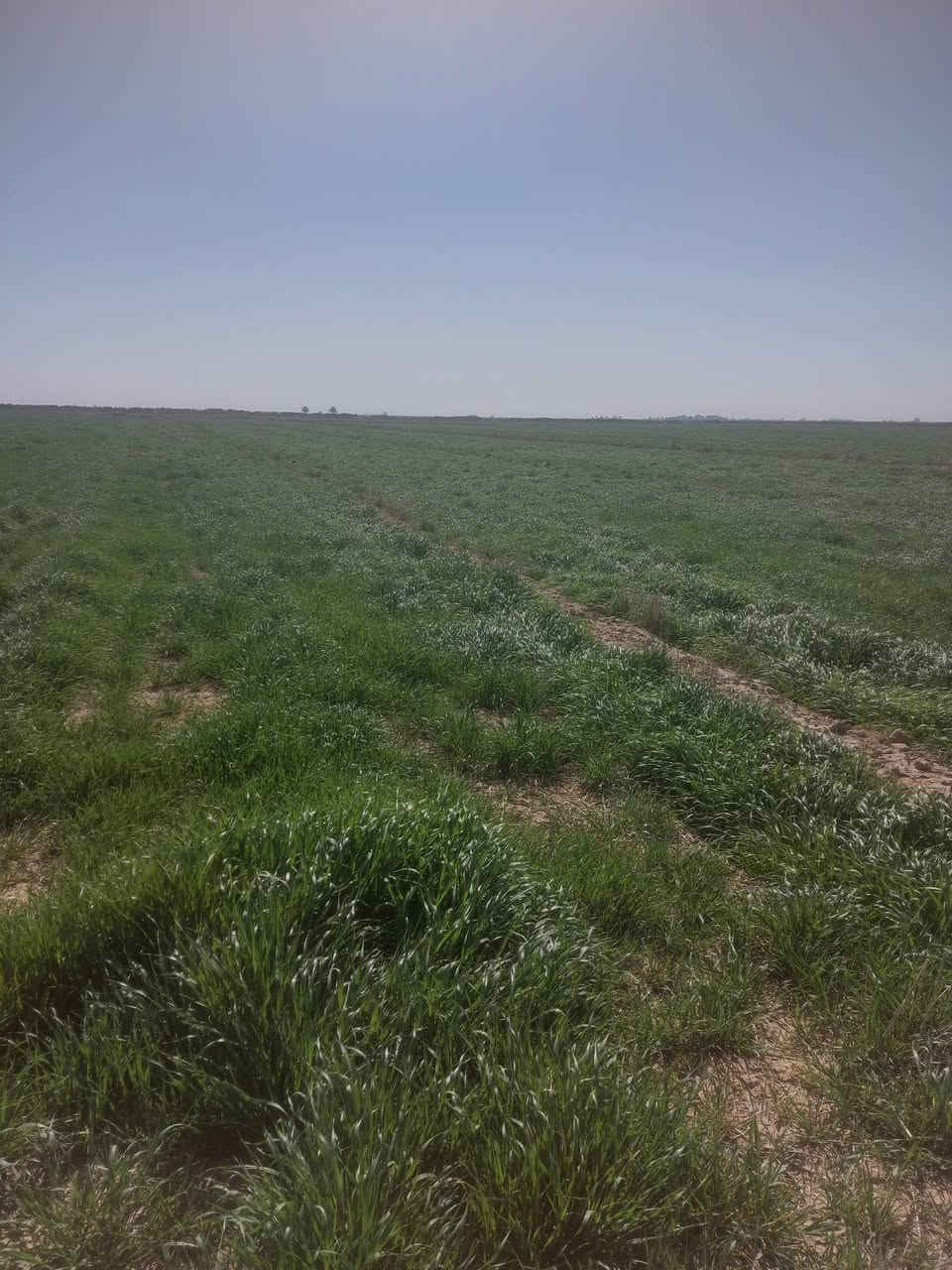 السلام عليكم (25دونم چاير للبيع)
الشراي يتصل ***********
