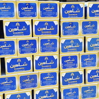 مياه شاهين • مواكب حسينية • قضاء الشامية