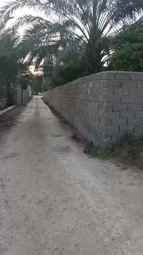 السلام وعليكم
قطعة أرض للبيع
مساحه 230 متر 
واجهه 10 نزال 23
طابو زراعي سند 25
مكاتبه وإقرار قاضي
بغداد الدوره مدخل هور رجب مقابل إفران الزيتون
*********** واتساب
*********** واتساب
