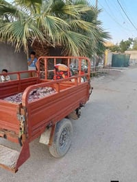 ستوته • ٦٥٠