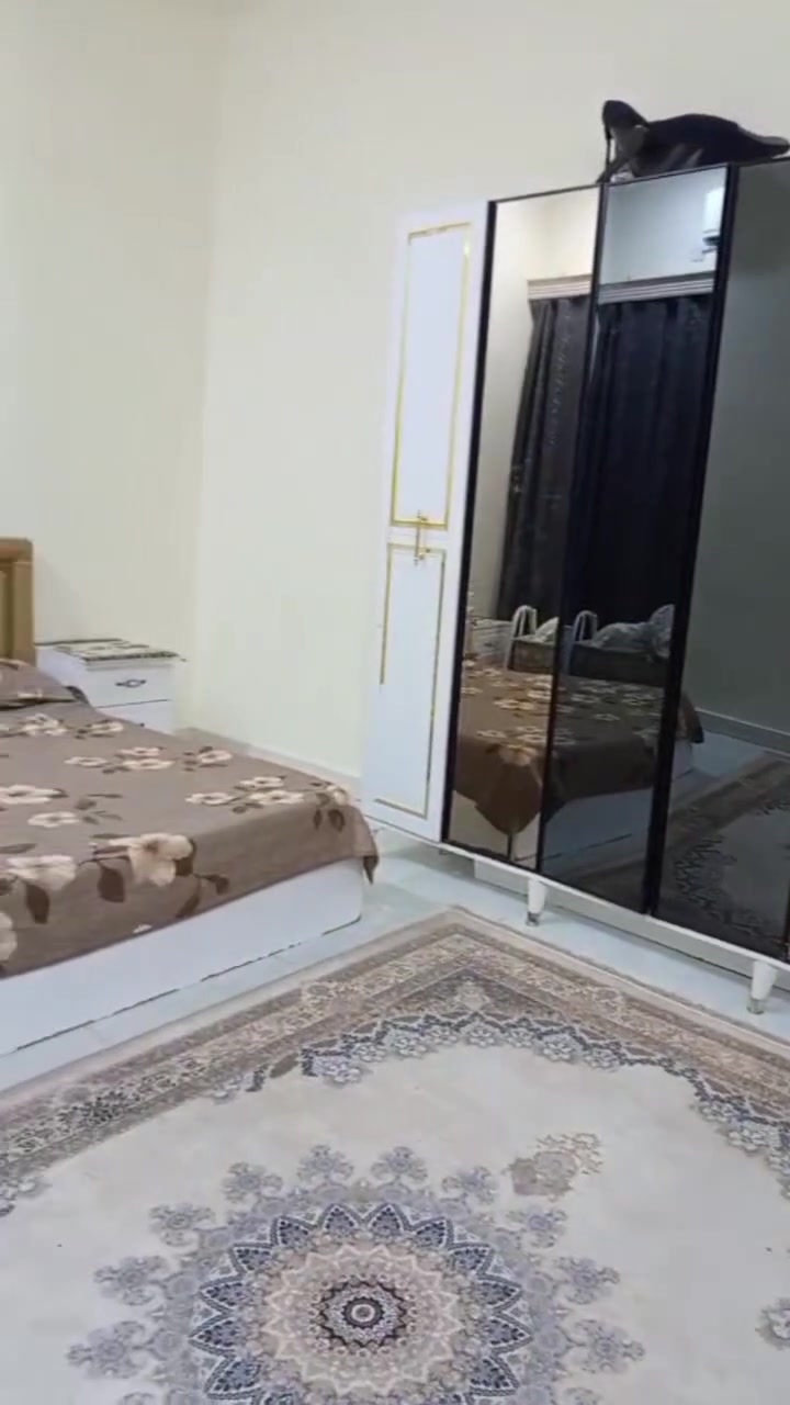بيع غرفه تركيا بيع مستعجل سعرها 350كامله ومفتوحه حاليا رقم الواتس ساب ***********
