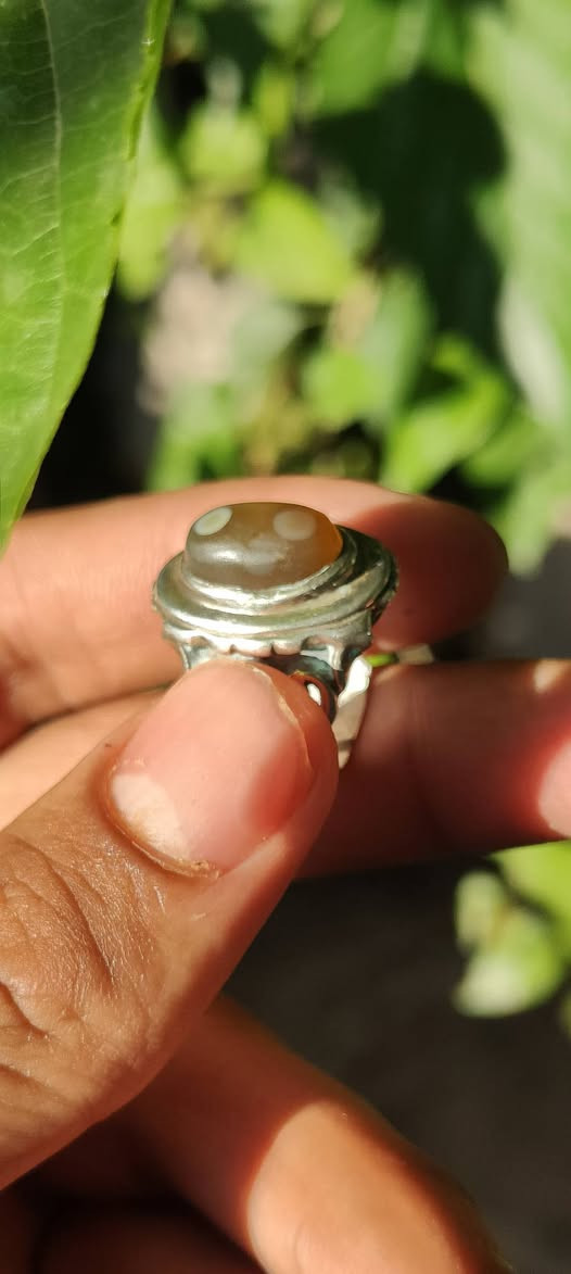 محبس سليماني قديم  (هندي) لبيع سعر خاص


**إذا كنت صاحب هذا الإعلان وتريد حذفه لأي سبب، رجاءا أرسل رسالة إلى الدعم الفني**