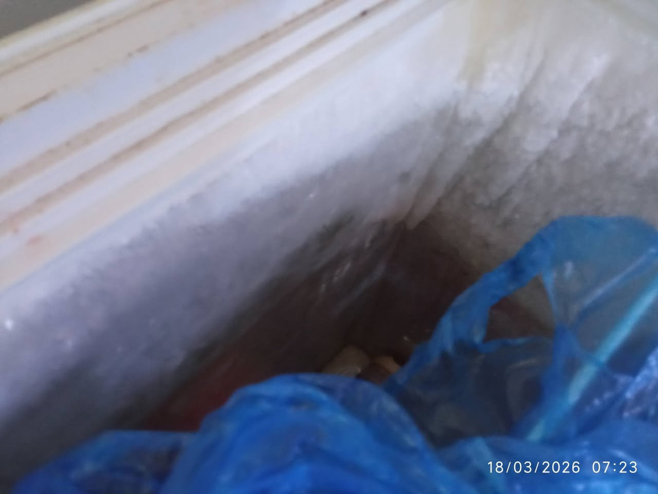 مجمده ب 175وبي مجال


**إذا كنت صاحب هذا الإعلان وتريد حذفه لأي سبب، رجاءا أرسل رسالة إلى الدعم الفني**