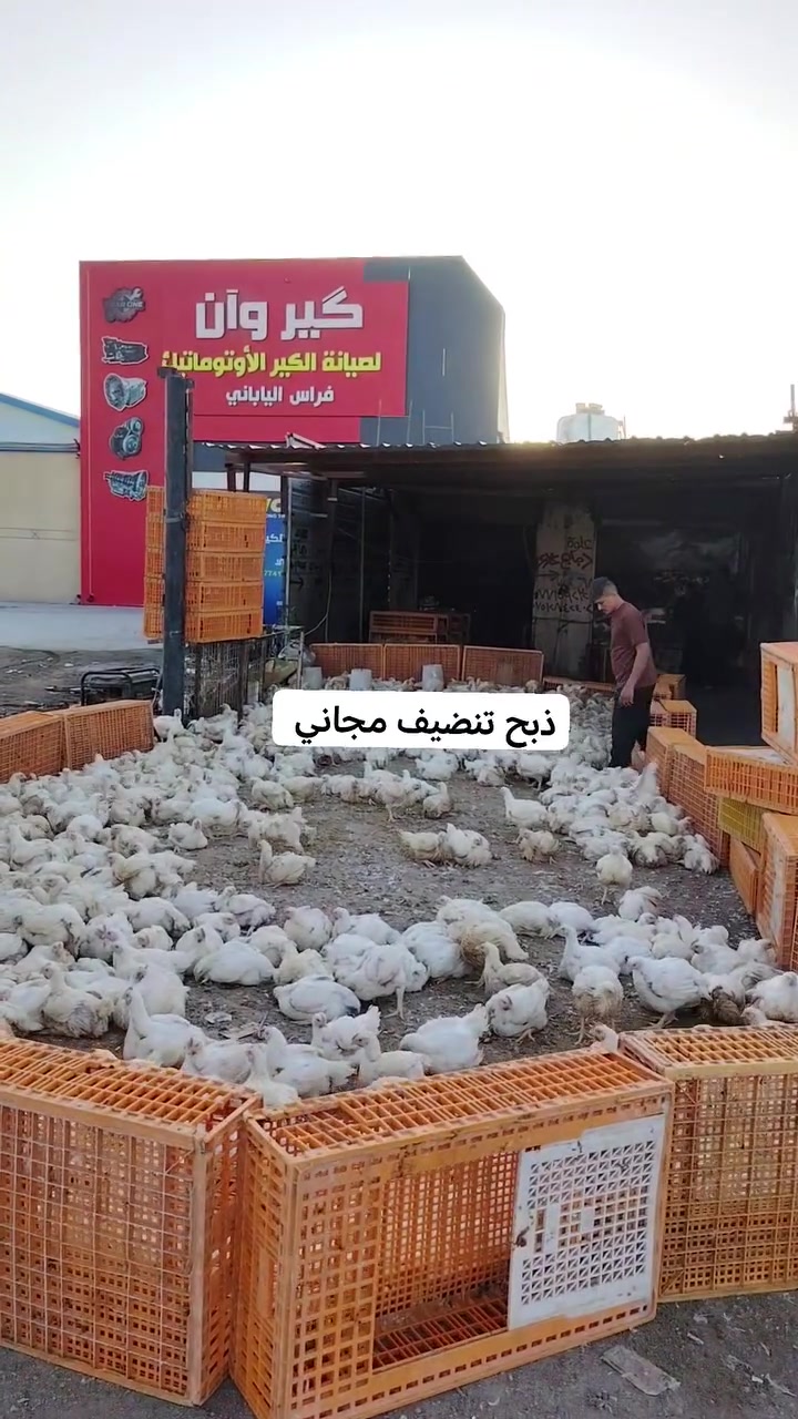 علوه دجاج علاء


**إذا كنت صاحب هذا الإعلان وتريد حذفه لأي سبب، رجاءا أرسل رسالة إلى الدعم الفني**