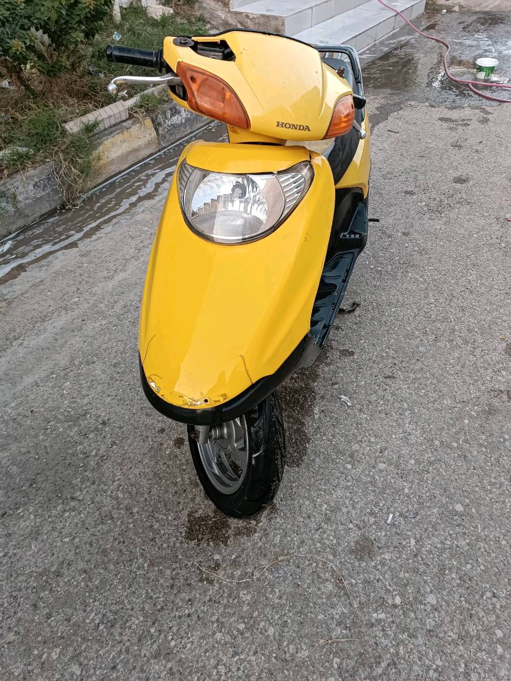 واسط / الكوت / الزهراء