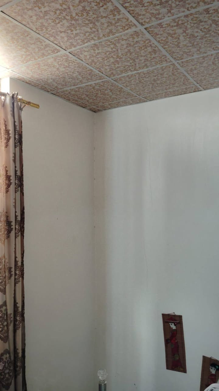 ؛


**إذا كنت صاحب هذا الإعلان وتريد حذفه لأي سبب، رجاءا أرسل رسالة إلى الدعم الفني**