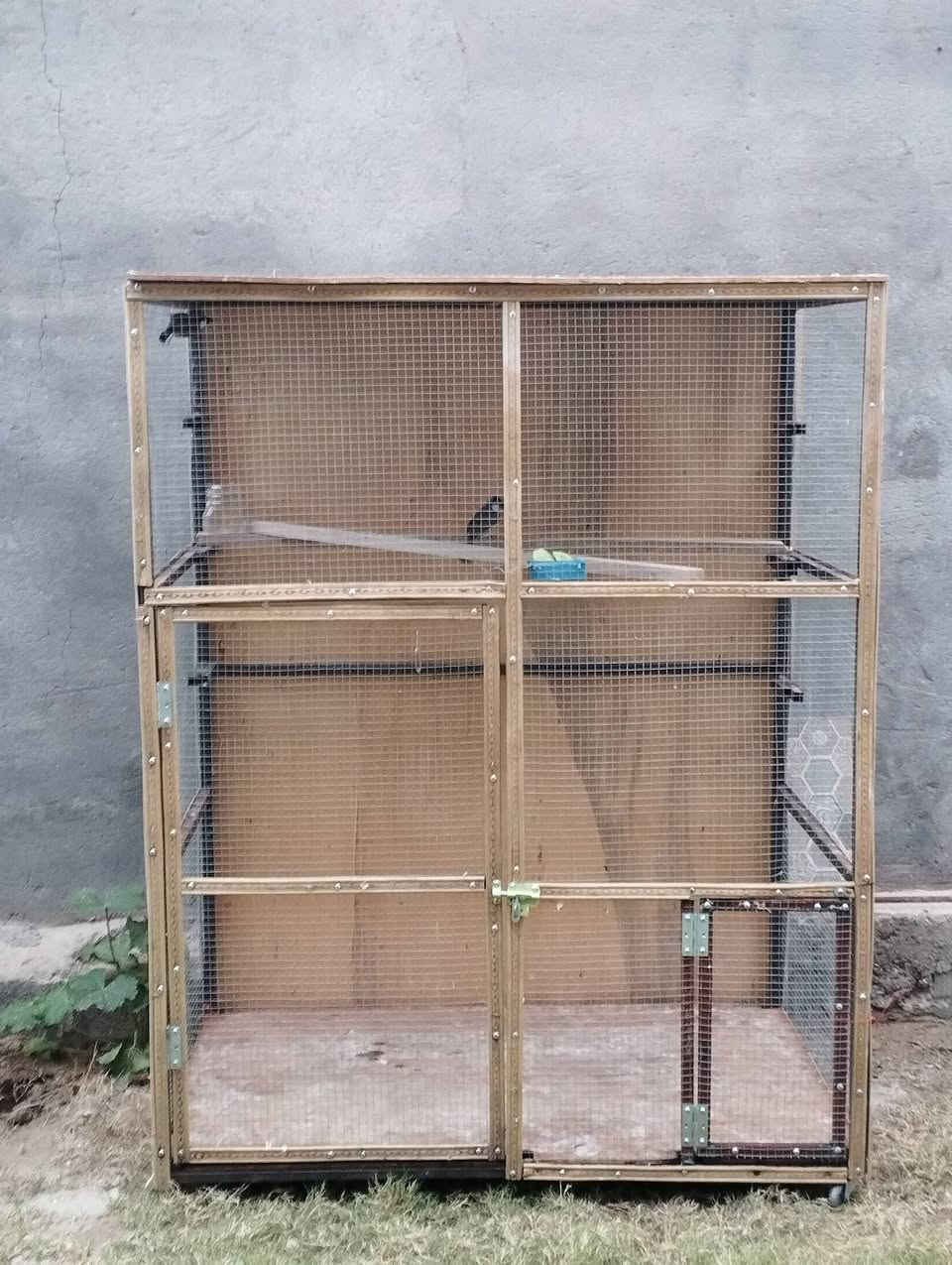 السلام عليكم قفص للبيع مثل ماواضح كدامك بصوره القفص حديد بعده جديد بي بابين باب جبير باب زغير مكاني عامريه الفلوجه ليريده يراسلني خاص


**إذا كنت صاحب هذا الإعلان وتريد حذفه لأي سبب، رجاءا أرسل رسالة إلى الدعم الفني**