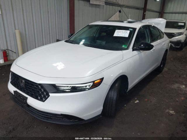 2025 HONDA ACCORD SE
تاريخ المزاد: 5/14
السعر: حسب المزاد 
المسافة المقطوعة 6032 mi 
#نشحن الى دبي و عمان و البصرة و كردستان و تركيا
بالامكان ادخالها
 #بكتاب_ذوي_الشهداء_باعفاء_كمركي_مع_اعفاء_الرقم 
#العقبة
#ام_قصر
#الشمال
⬅️نتكفل بالسيارة لحين وصولها 
⬅️اي استفسار مراجعة المكتب 
⬅️ عملنا شراء السيارات من المزادات الامريكية والكندية
#لدينا_تقرير_Carfax_مجاني_فحص السيارة قبل دخولها المزاد 
⬅️لدينا ورشة تصليح في دبي 
⬅️لدينا معقب لتخليص السيارات (حرة  او ذوي الشهداء ) و ايصالها الى الزبائن
📍العنوان النمرود #قرية_السيد_حمد 
⬅️اوقات الدوام من 4:30 عصراً وحتى ال11 ليلاً كافة ايام الاسبوع 
ما عدا السبت والاحد عطلة المزاد 
☎️ للاستفسار الاتصال على الرقم
عمر سعد
*********** :📞
*********** : 📞 عرض أقل
