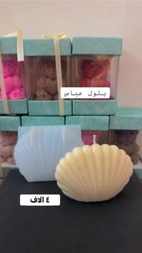 قالب صدفة • توصيل • بغداد
