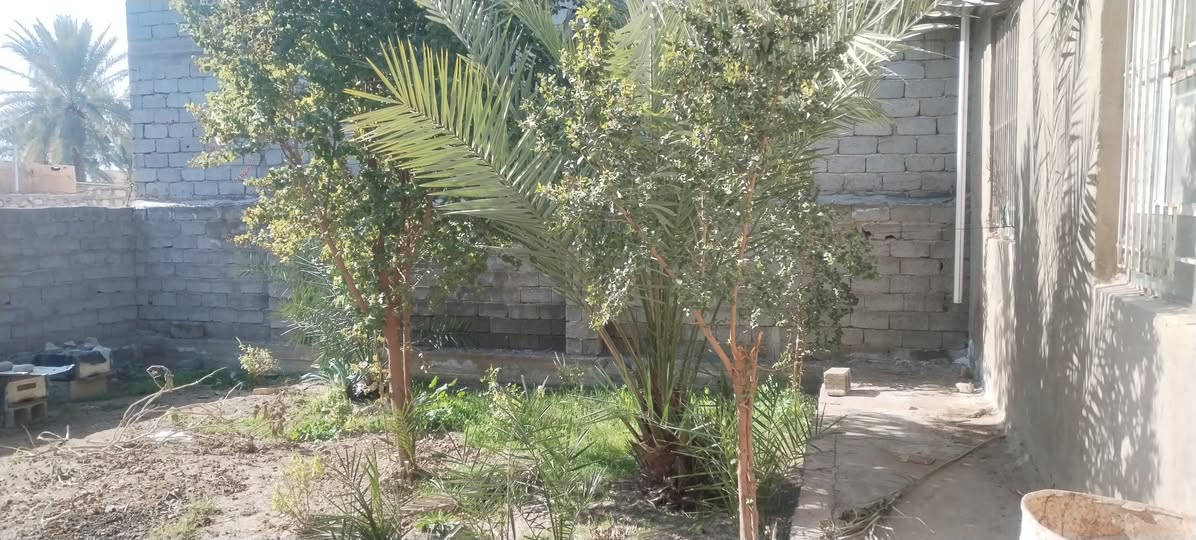 السلام عليكم بيت للبيع المساحة ٣٠٠م يحتوي بناء ١٥٠م حديقة ١٥٠م المكان الشعلة الدوانم شارع لابلوك السعر ٨٥ وبي مجال للإستفسار الاتصال علئ ارقم *********** مكلف بل نشر
