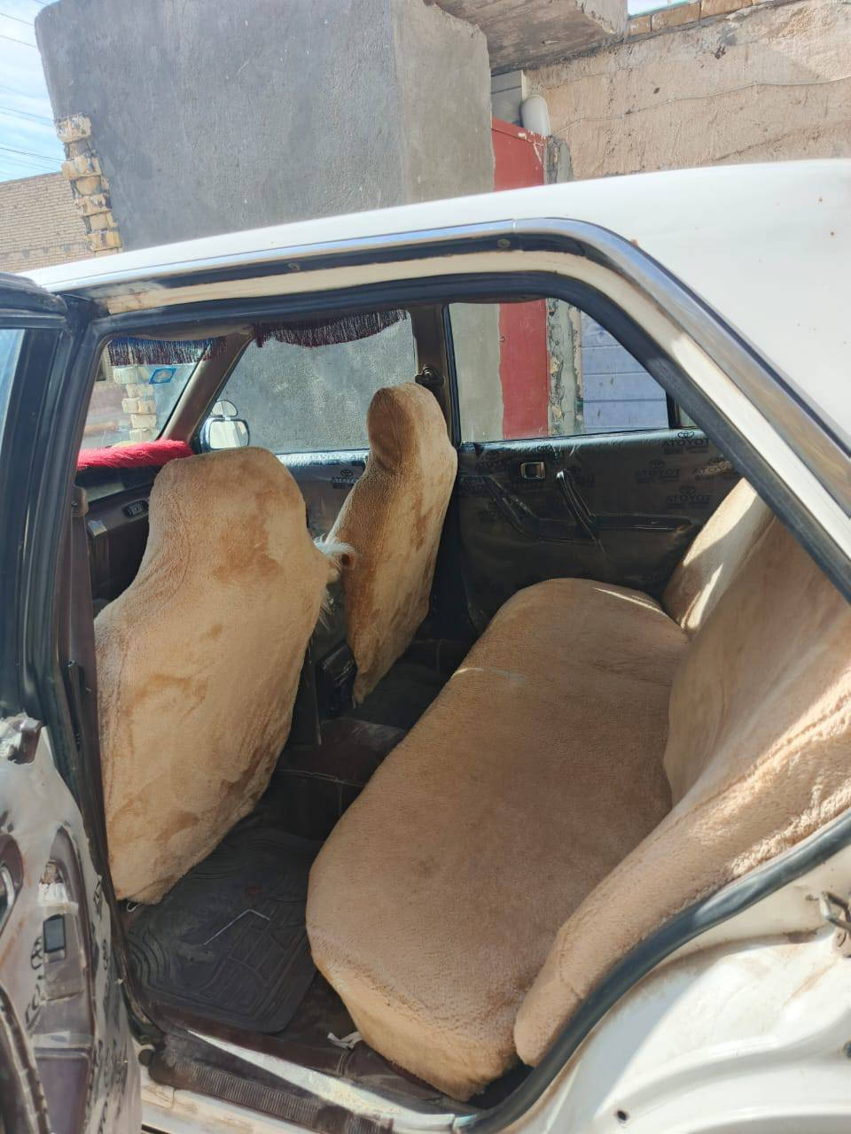 مراوس حسب القناعة ريد  رنب ***********
