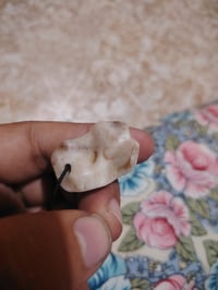 كلاده • جمجمة • شكل عجيب