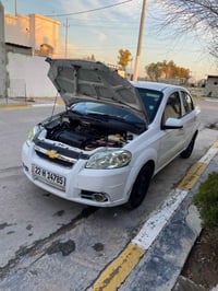 أفيو • ٢٠٠٨ • السليمانية