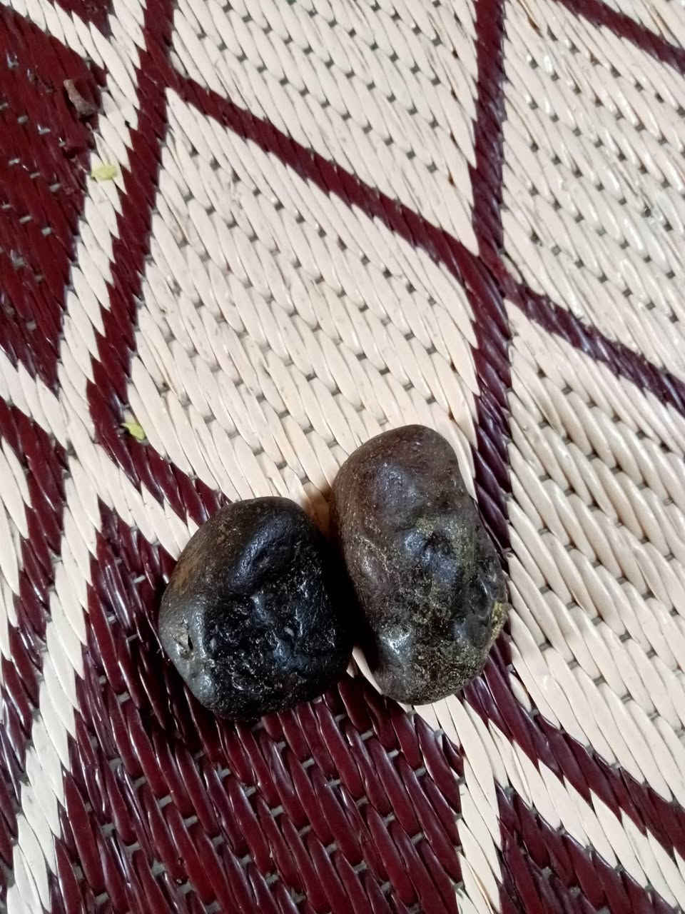 ماشاء الله(نوادر سليماني) انثى وفحل مصور
للمحبة والقبول وعقد لسان طاعه 
للاستفسار اكثر  خاص


**إذا كنت صاحب هذا الإعلان وتريد حذفه لأي سبب، رجاءا أرسل رسالة إلى الدعم الفني**