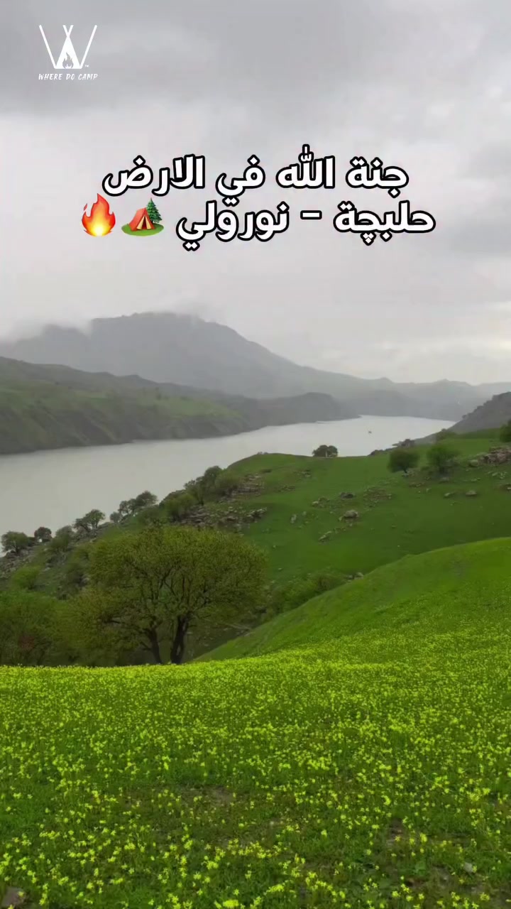 حلبجة - نورولي 📍
تبعد عن بغداد 6 ساعات طبيعة تجنن و تستحق التجربة 
اذا تريد تروح وفرنالكم رحلات تخييم 🏕️ لنورولي
للحجز راسلنا خاص او واتساب *********** 

#كامبينگ_گروب #وير_دو_كامب #علي_الشذر
