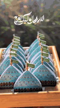 الحجز فقط السبت والاحد على توزيعات
 مولد الامام الحجه عج 
الحجز المراسلة عالخاص أو الواتس اب  ***********
