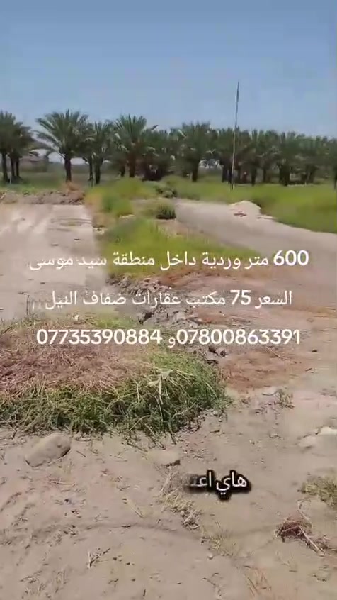 600 متر تقسيم تباع حسب الطلب الكل أو 200 أو 400 كلمن حسب سعرة الموقع الحلة وردية داخل منطقة سيد موسى بجهت ابو هدمة 500 متر عن الشارع الرئيسي منطقة كافة الخدمات 
السعر 75 
مكتب عقارات ضفاف النيل 
***********
***********
#الحلة #عقارات #وردية #قطع #مكتب عقارات ضفاف النيل
