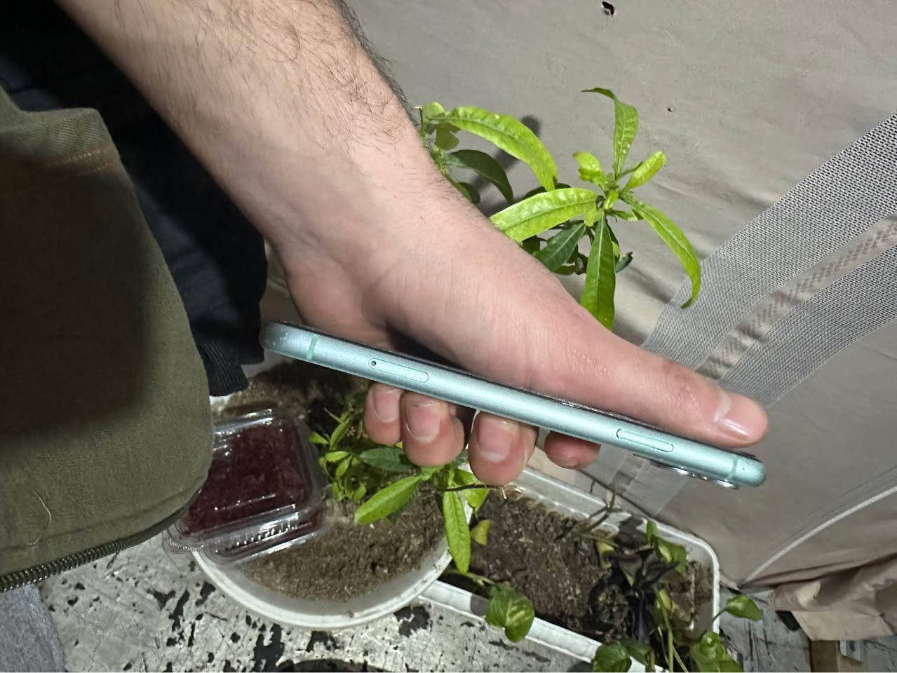 ئایفۆن ١١دوکامیرە کەپسە هیچی نەگۆرایە مسجی ئەپلی هەیە پاتری٧١ زاکیرەی٦٤گێگا  هەندەک وردە شوختی ئیتاری هەیە شوێن هەولێر نرخی ٢٣٠هەزار و هەندەک محامەلە تکایە موشتەری نی نەسەری خۆت بێشینە نەسەر من *********** أربيل, العراق
