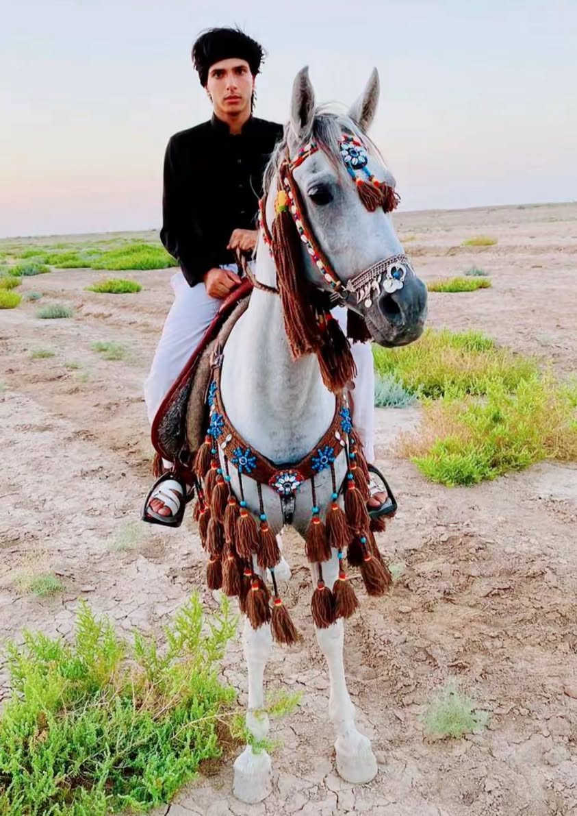 يابه سلام عليكم وين الي عنده مزرعه والشيوخ والي يريد يتونس هاي فرس درجه أولى جمال وركوب للبيع وأمينه كلش وهادئه وكصتها خير على الي ياخذها فرس أصيله مال شيوخ الله شاهد 
بس الشراي يتصل ***********
من رخصت الادمن طبعاً ❤️.

