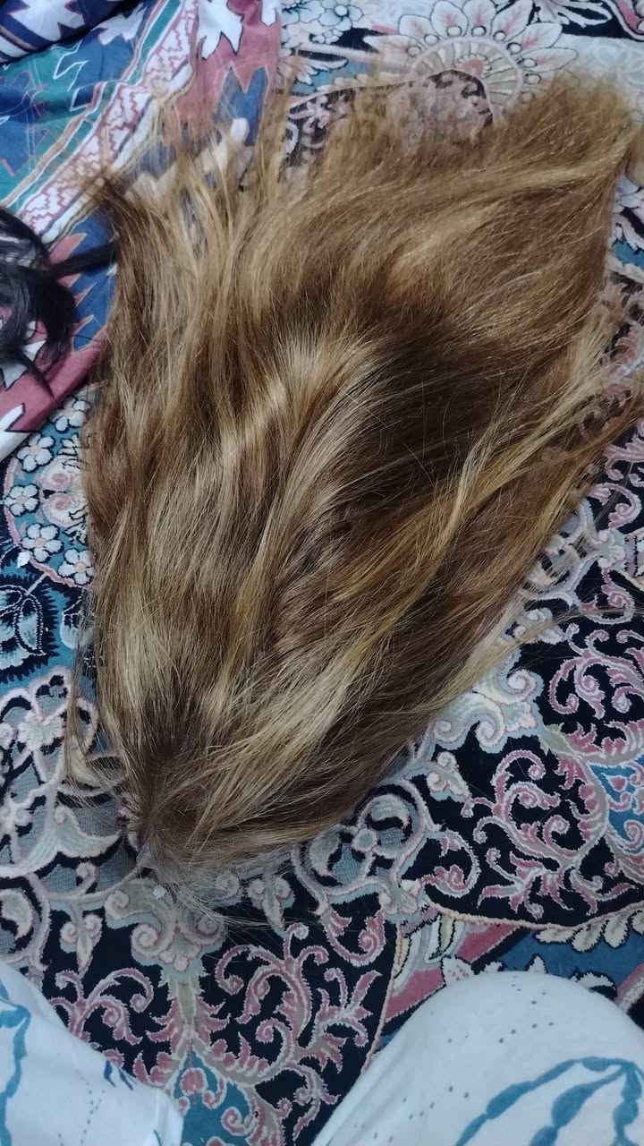 باروكة شعر طبيعي طول 68سم جديد غير مستخدم فول شبكة


**إذا كنت صاحب هذا الإعلان وتريد حذفه لأي سبب، رجاءا أرسل رسالة إلى الدعم الفني**