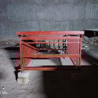 محجر • ١٠٠ب١٠٠ • بابل حله