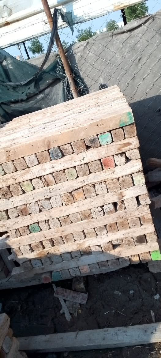 سير للبيع طول ثلاثه في ثلاثه واثنين في اربعه من ابو المترين وجوه رقم الهاتف ***********
