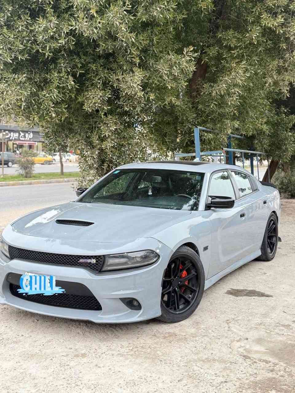 جارجر سكات باك 6400 دايتونا 🐝  اصل 2021
رقم بغداد انكليزي باسمي التحويل مباشر فول مواصفات شاشه كار بلي كشن حضن فتحه سقف تحكمات كشن تدفئة تبريد حداديه كير محرك جدد تبريد ثلج لون سموك مميز سعره 245 بيه مجال  )مكاني النجف الاشرف

***********
