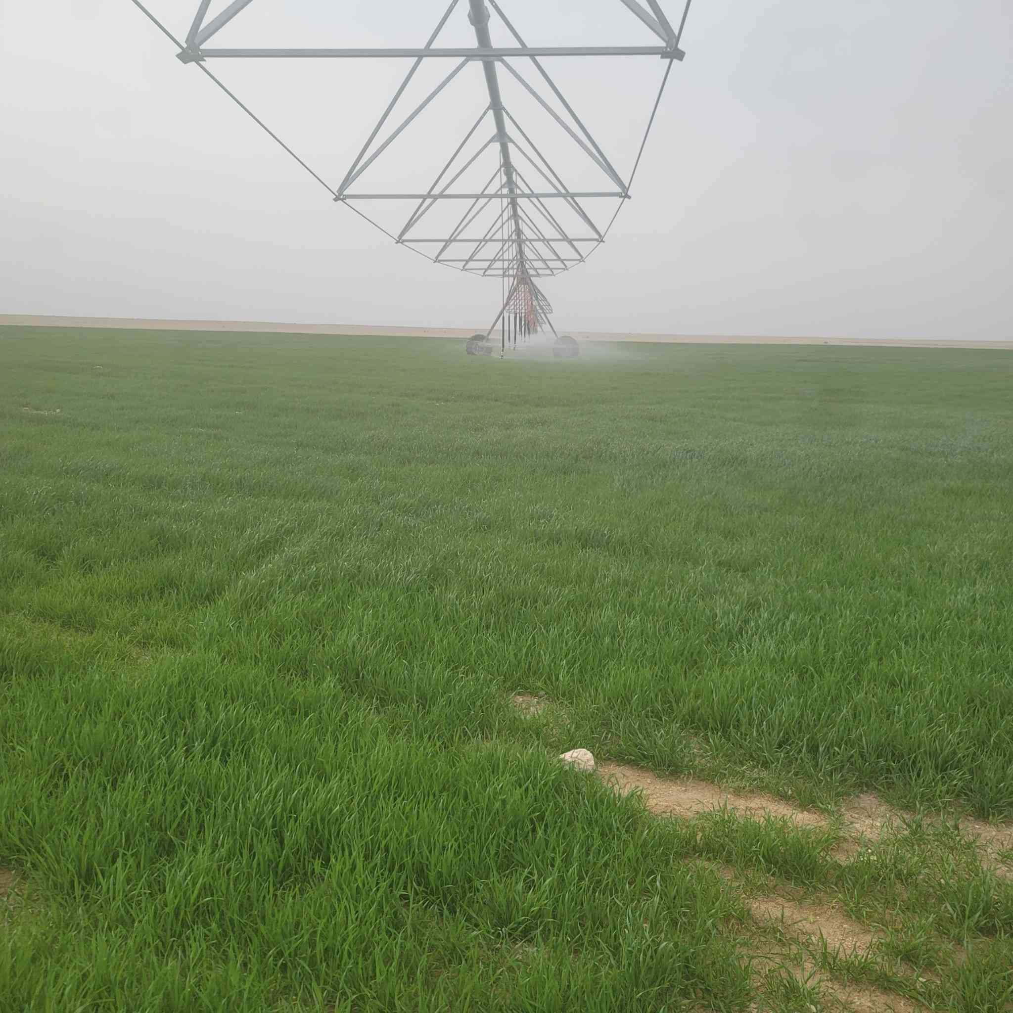 ١٣٥ دونم السماوه ابو غار عدلات  وينسكن سيح رايدهن ب١٧ وبيهن مجال بسيط وجه الماي ٢٠ متر وهاي صور الكاع الي بصفها *********** الكاع طينيه
