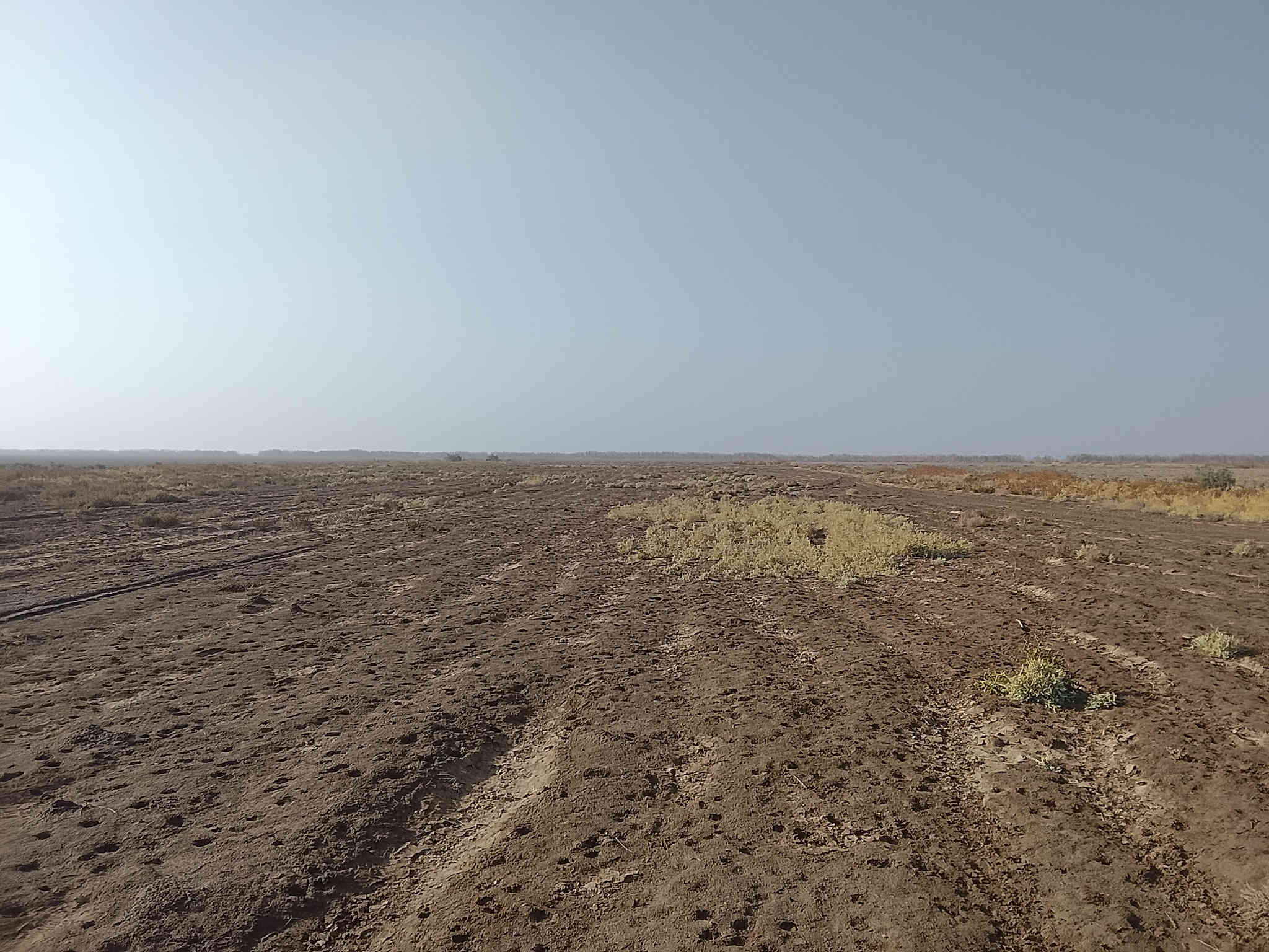 السلام عليك ارض زراعيه للبيع 20دونم عقد زراعي تبعد عن الشارع العام كيلو  واحد  للستفسار ***********
