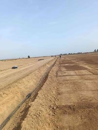 الصويره طريق سيد ربيع • دونم طابو • بئر ارتوازي