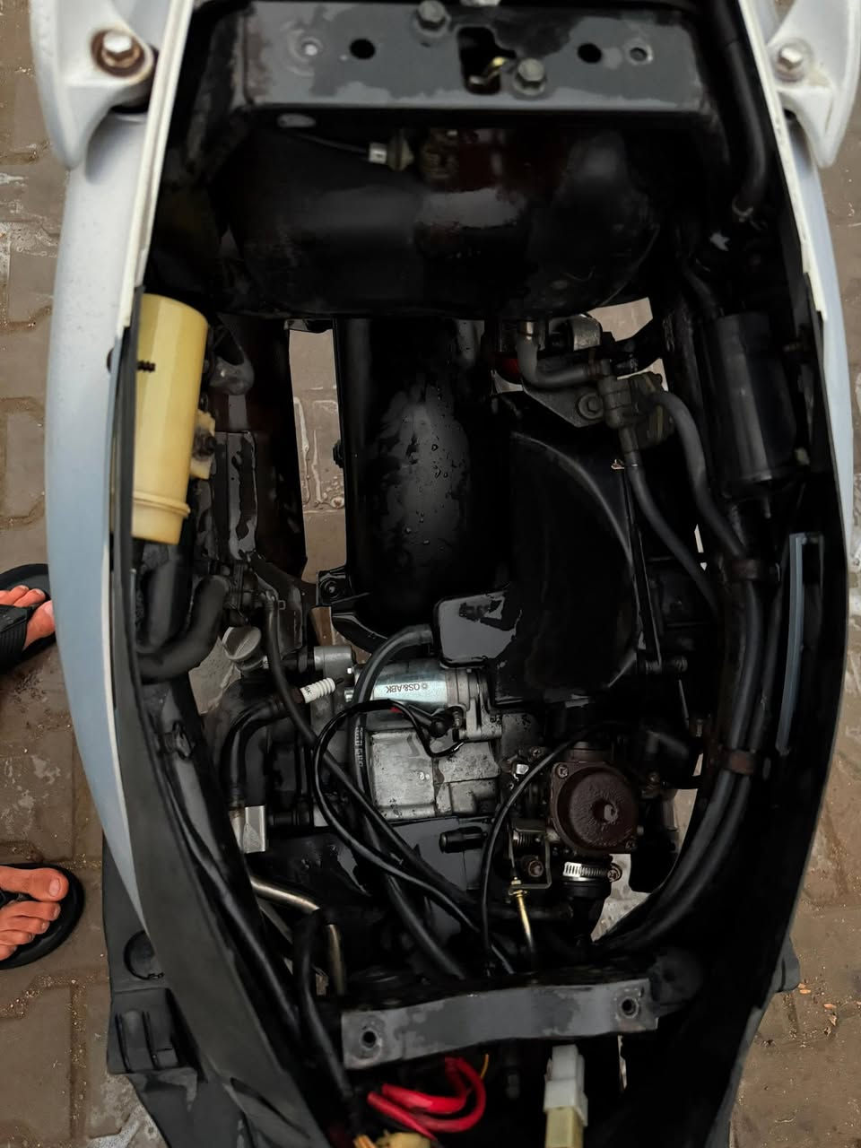 كفاله طالعه بشهر 10 ماكس عدله. جديده كلش ختم واحد ويا المكينه. كلها بلاديه من الطول. لطول ميكنه كارتون. 49بلاد محد لاعب بيها. جيب الف فيتر وياك. وتعال مكاني حي القادسيه فرع جامع الامام الحسن السعر 850وبيها مجال لشراي. ***********واتساب
