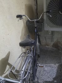 باسكال • ياباني أصلي • بيه مجال