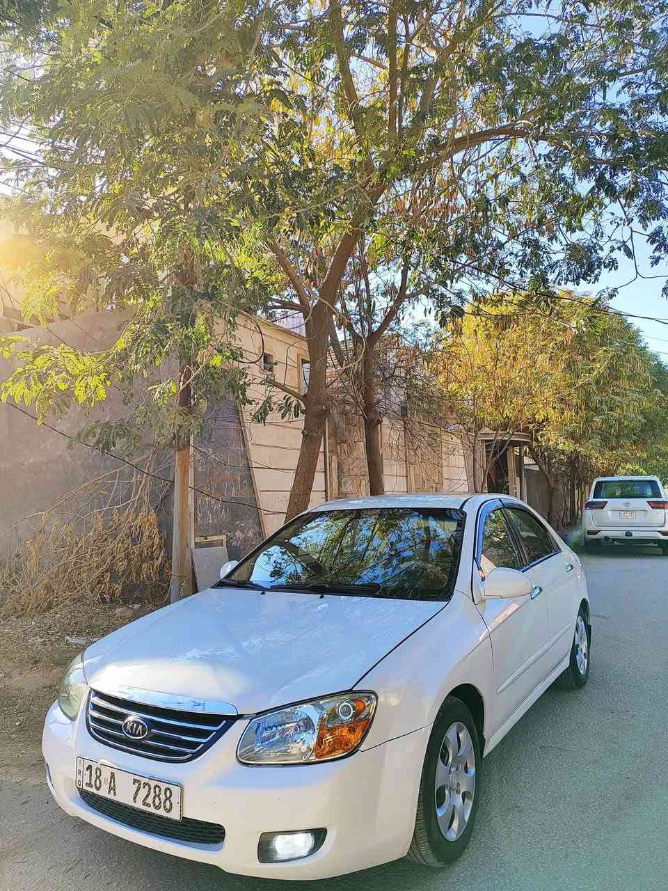 سلام عليكم سبكترا موديل2007 رقم بابل سنويه2027تحويل مباشر مشروع وطني محرك2000جديد كير ومكينه وحداديه كله جديد تبريد بيها كم قطعه صبغ ابيع حزام بدون حادث سياره كلش حلوه 
مكاني: كربلاء 
للاستفسار:***********
السعر:85وبيها مجال للشراي
